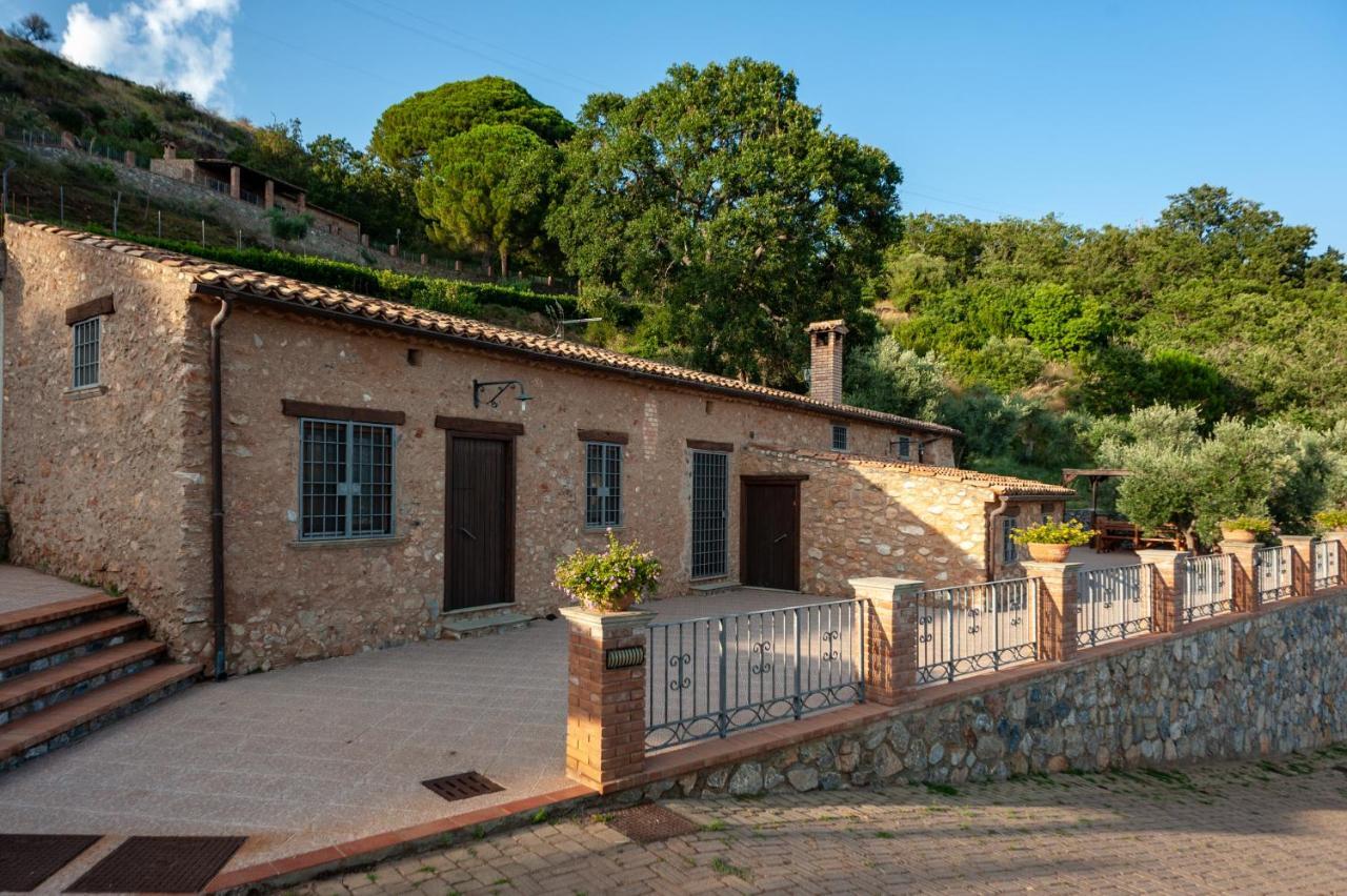 Azienda Agrituristica Le Terre Di San Leonardo Cetraro Eksteriør bilde